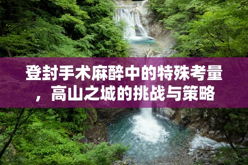 登封手术麻醉中的特殊考量，高山之城的挑战与策略