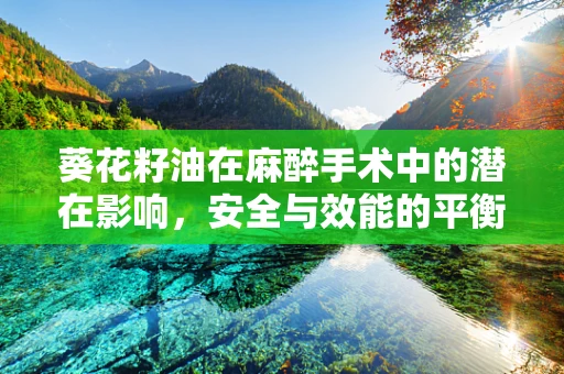 葵花籽油在麻醉手术中的潜在影响，安全与效能的平衡？