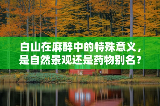 白山在麻醉中的特殊意义，是自然景观还是药物别名？