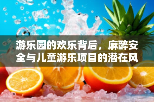 游乐园的欢乐背后，麻醉安全与儿童游乐项目的潜在风险