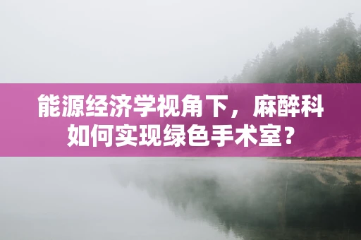 能源经济学视角下，麻醉科如何实现绿色手术室？