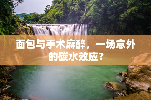 面包与手术麻醉，一场意外的碳水效应？