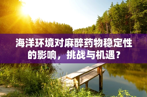 海洋环境对麻醉药物稳定性的影响，挑战与机遇？