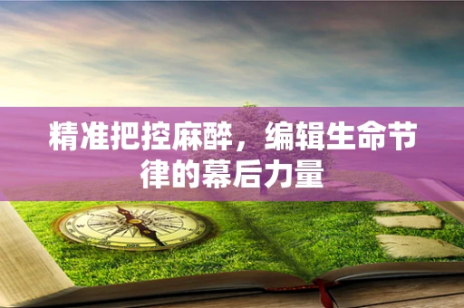 精准把控麻醉，编辑生命节律的幕后力量