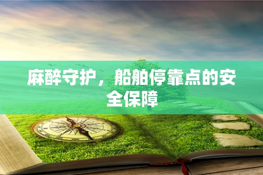 麻醉守护，船舶停靠点的安全保障