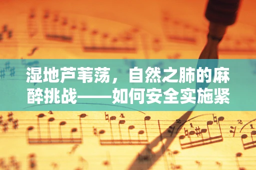 湿地芦苇荡，自然之肺的麻醉挑战——如何安全实施紧急手术？