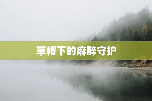 草帽下的麻醉守护