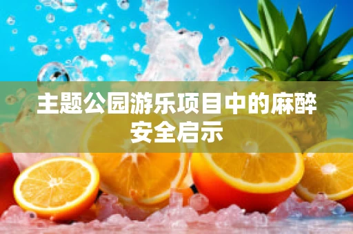 主题公园游乐项目中的麻醉安全启示